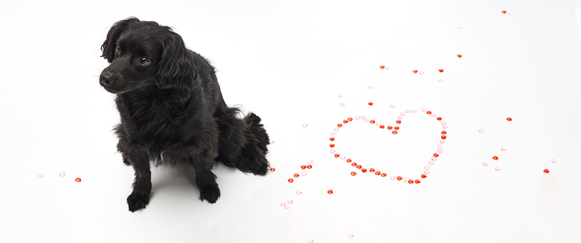 Lass uns rot werden für den Valentinstag