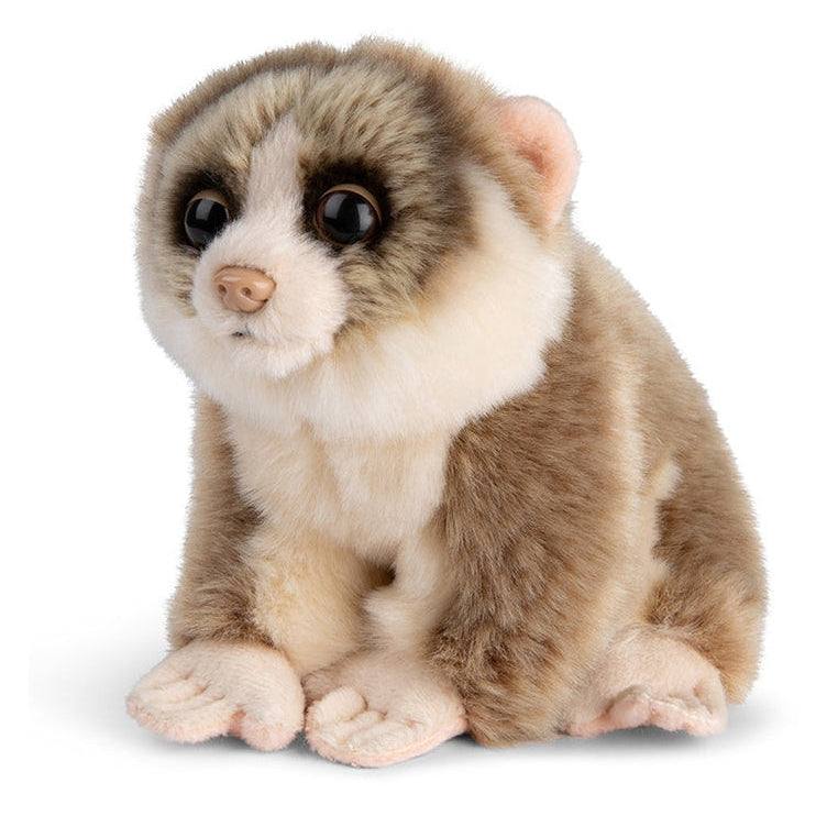 WWF Plüschtier // Grauer Schlanklori // 18 cm
