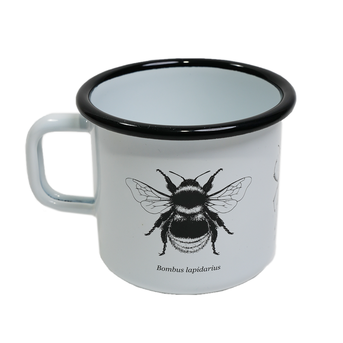 WWF x Manroof Tasse // Insekten // Weiss