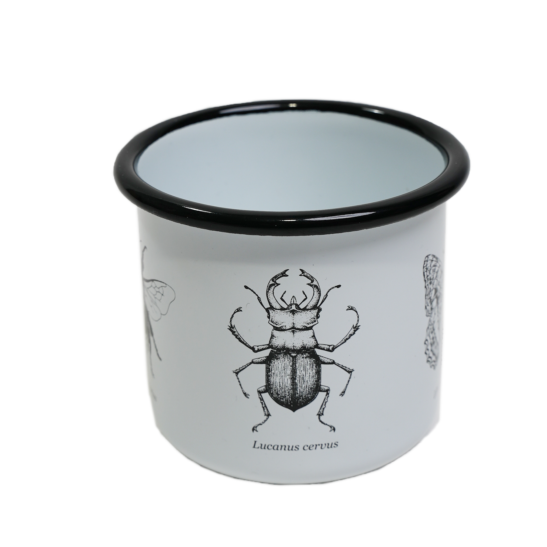 WWF x Manroof Tasse // Insekten // Weiss