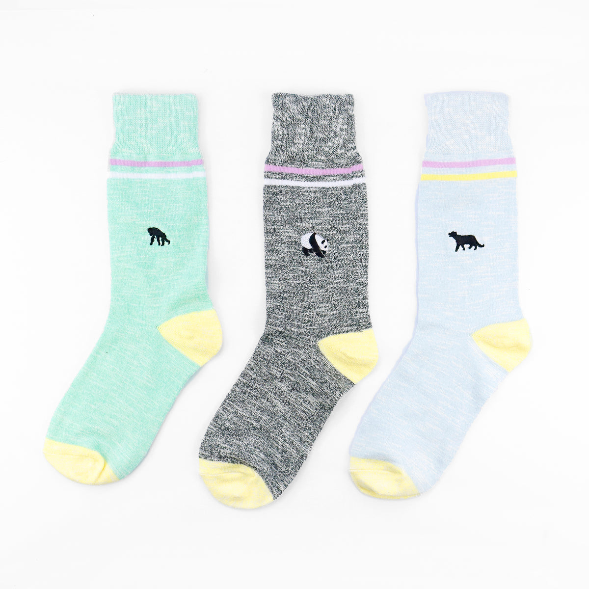 WWF x Critically Endangered Socks // Socken Set // Bunt