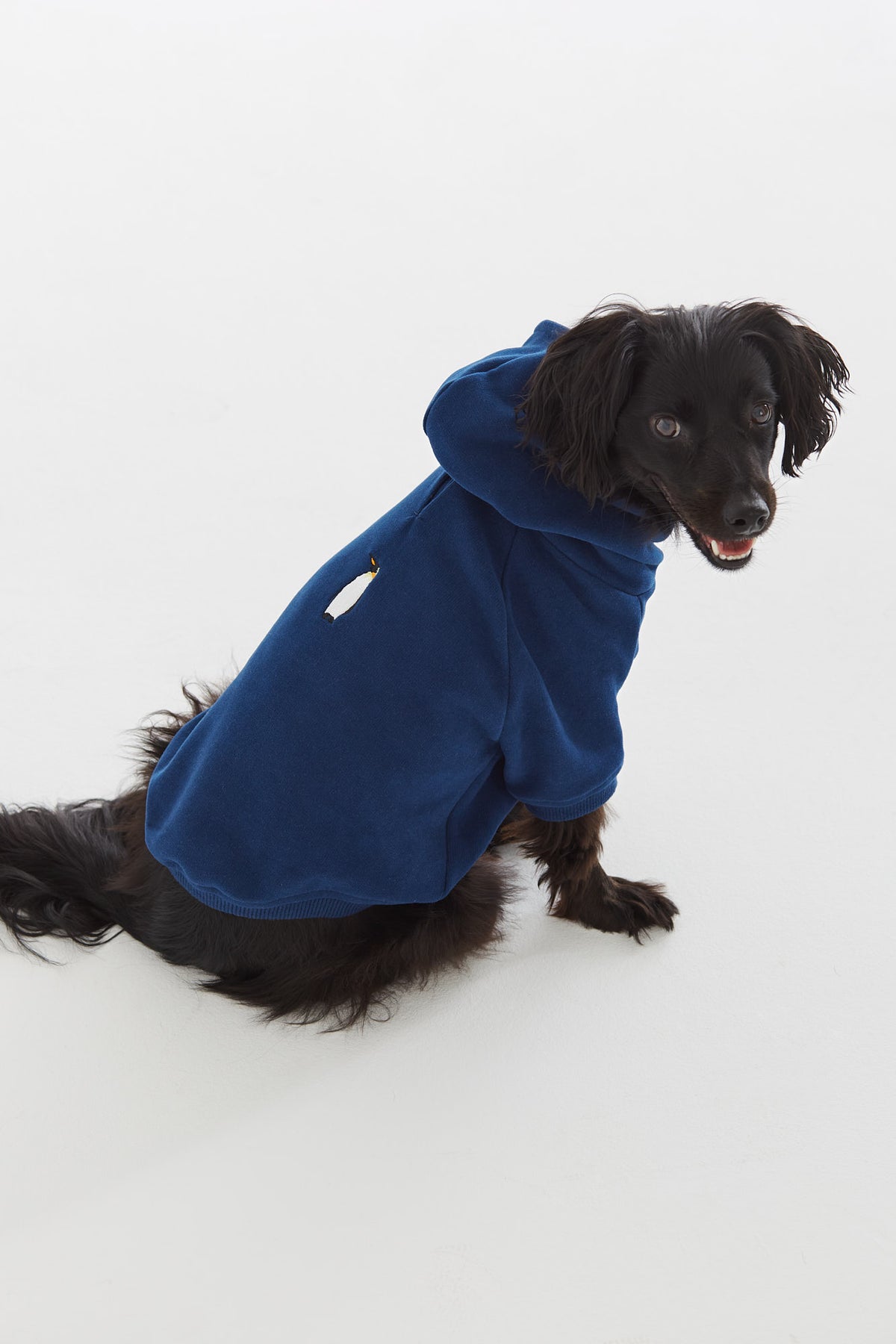 Reflect Studio Hundehoodie // Pinguin // Blau
