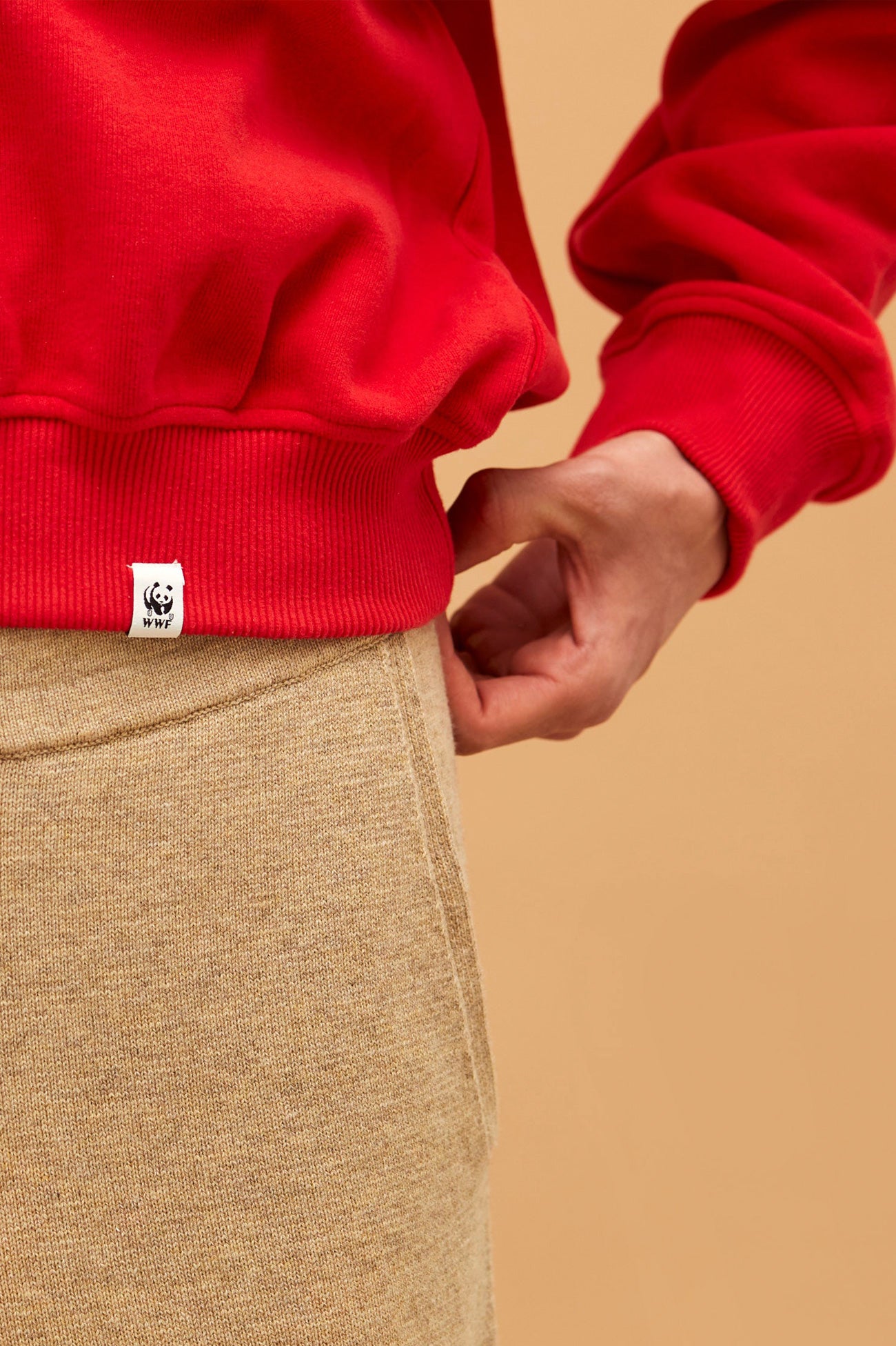 Unisex Sweatshirt // Koalas // Rot