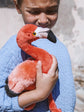 WWF Plüschtier // Flamingo // Pink // 23 cm
