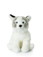 WWF Plüschtier // Husky // Grau // 23 cm