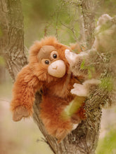 WWF Plüschtier // Orang-Utan // braun // 23 cm