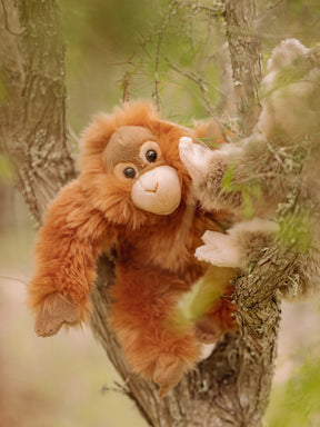 WWF Plüschtier // Orang-Utan // braun // 23 cm