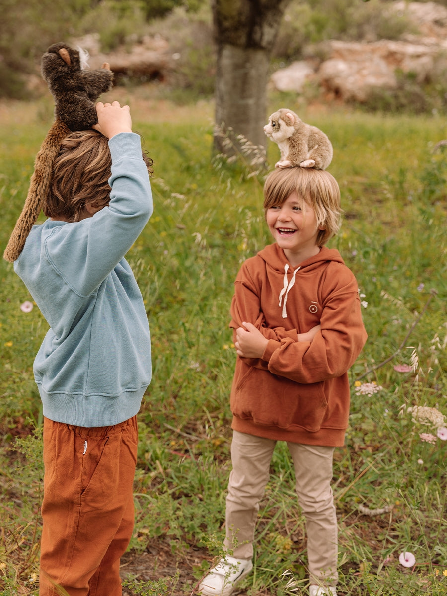 WWF Plüschtier // Grauer Schlanklori  // 18 cm