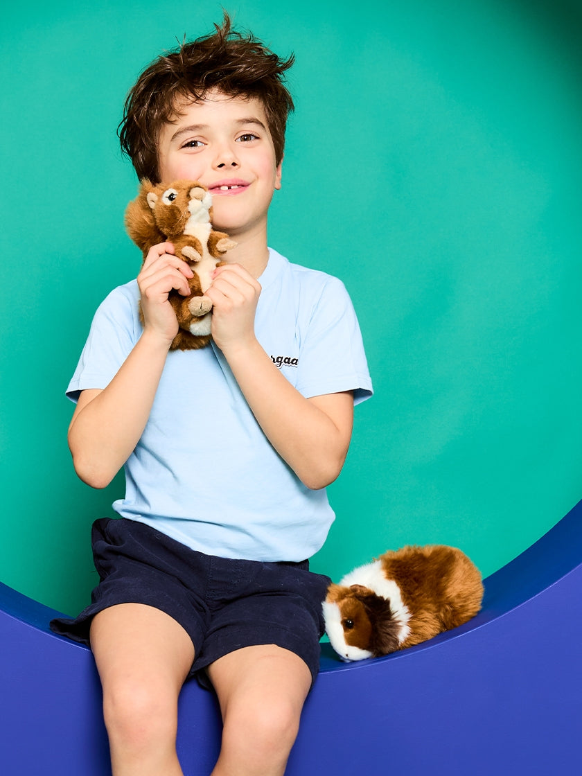 WWF Plüschtier // Meerschweinchen // Braun // 19 cm