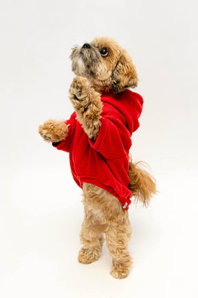 © Kathrin Tschirner / WWF