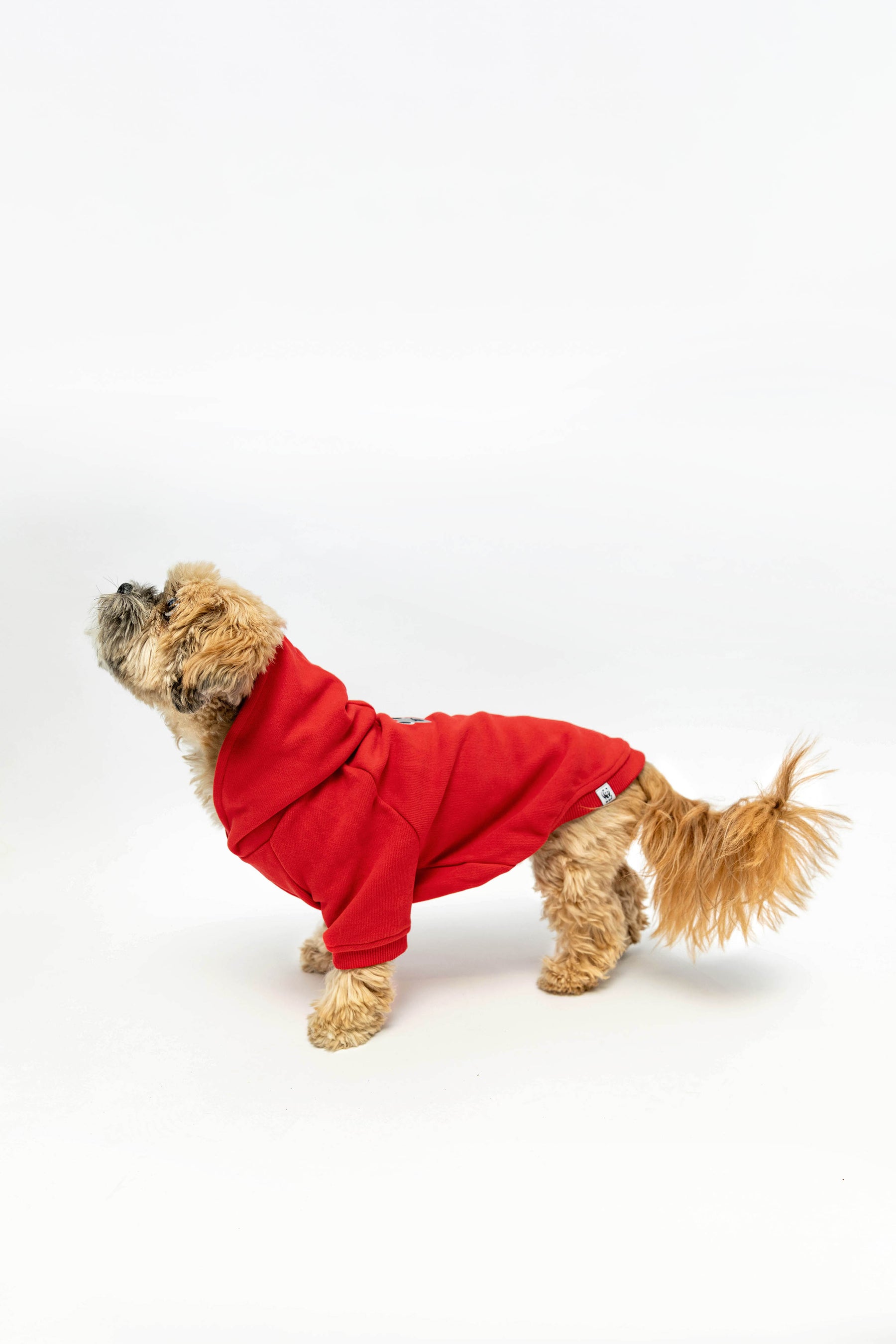 © Kathrin Tschirner / WWF