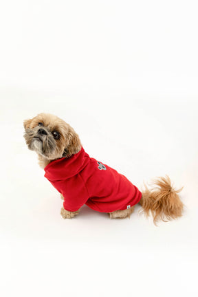 © Kathrin Tschirner / WWF