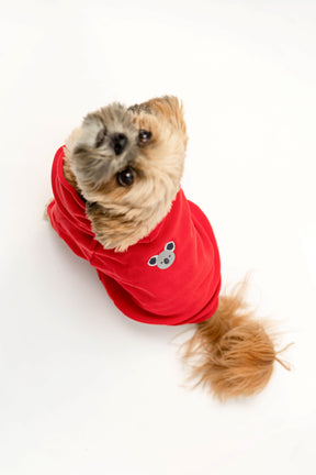 © Kathrin Tschirner / WWF